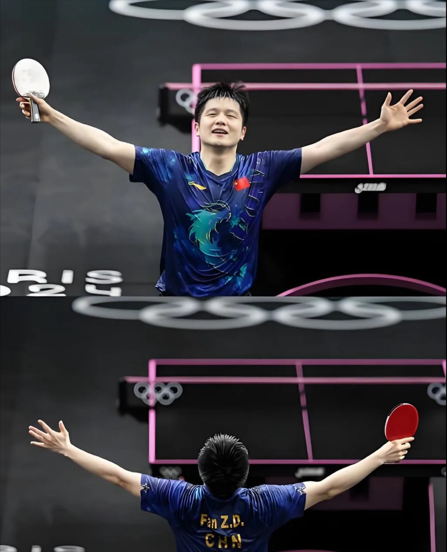 瑞典队轻取奥地利队，樊振东点燃赛场