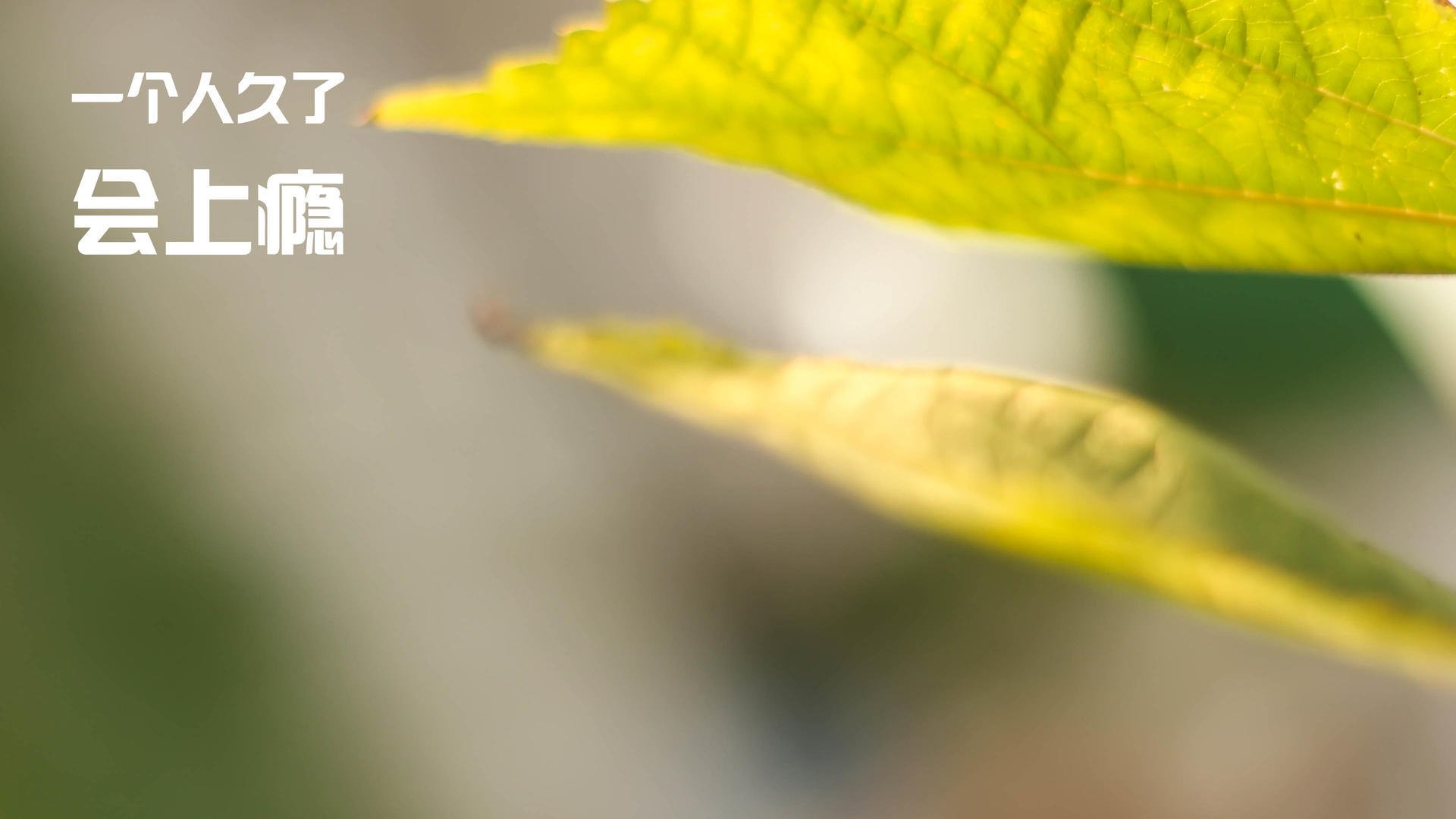 范弗利特45分弑旧主!老鹰加时强行终结快船6连胜