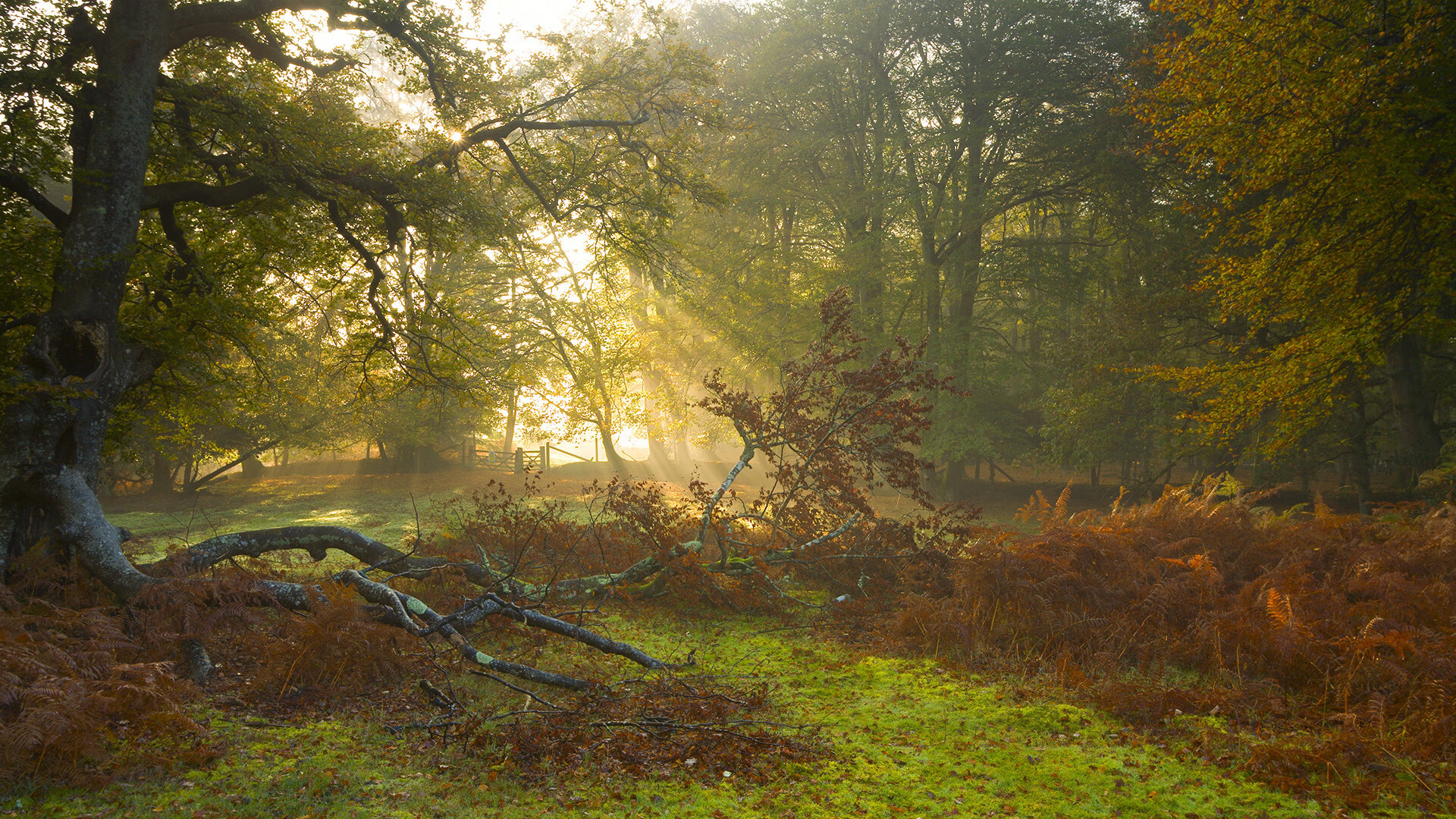 伊萨克时刻，当完美成为唯一的答案