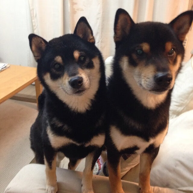 陨石击穿冰层，杰伦·格林关键15分，燃烧自我并冰封所有质疑