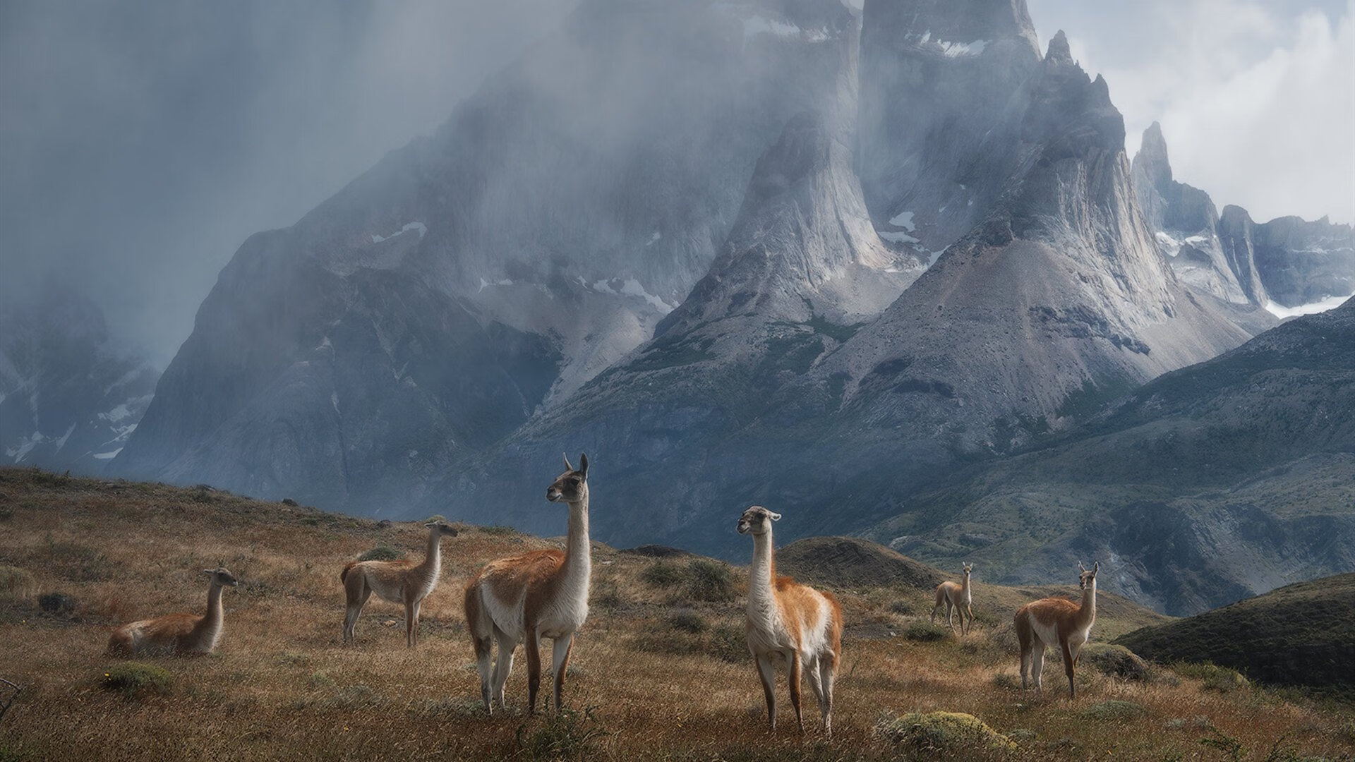 铁幕与火线，奥纳纳攻防统治下，巴西之刃收割佛罗伦萨