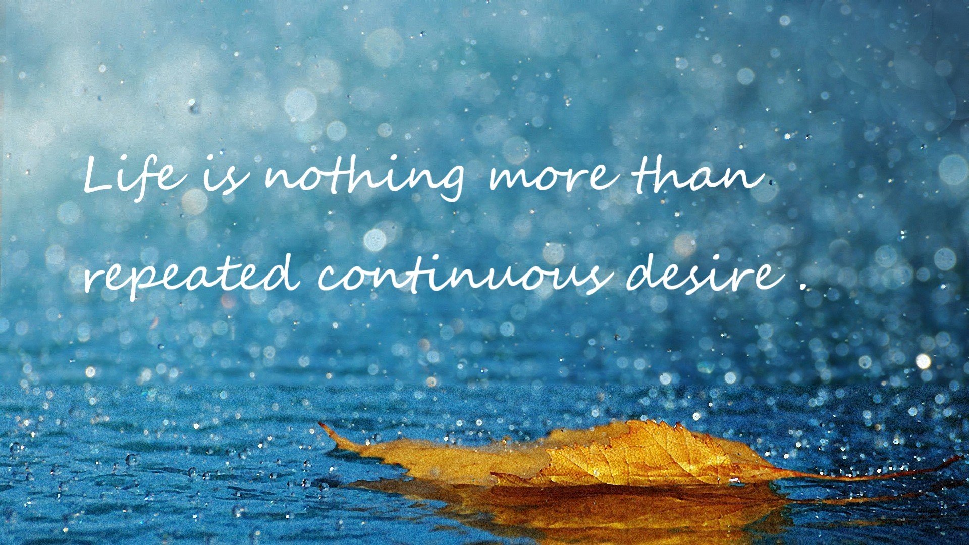 篮球手踢走欧冠心魔，德罗赞在伯纳乌的证明之夜