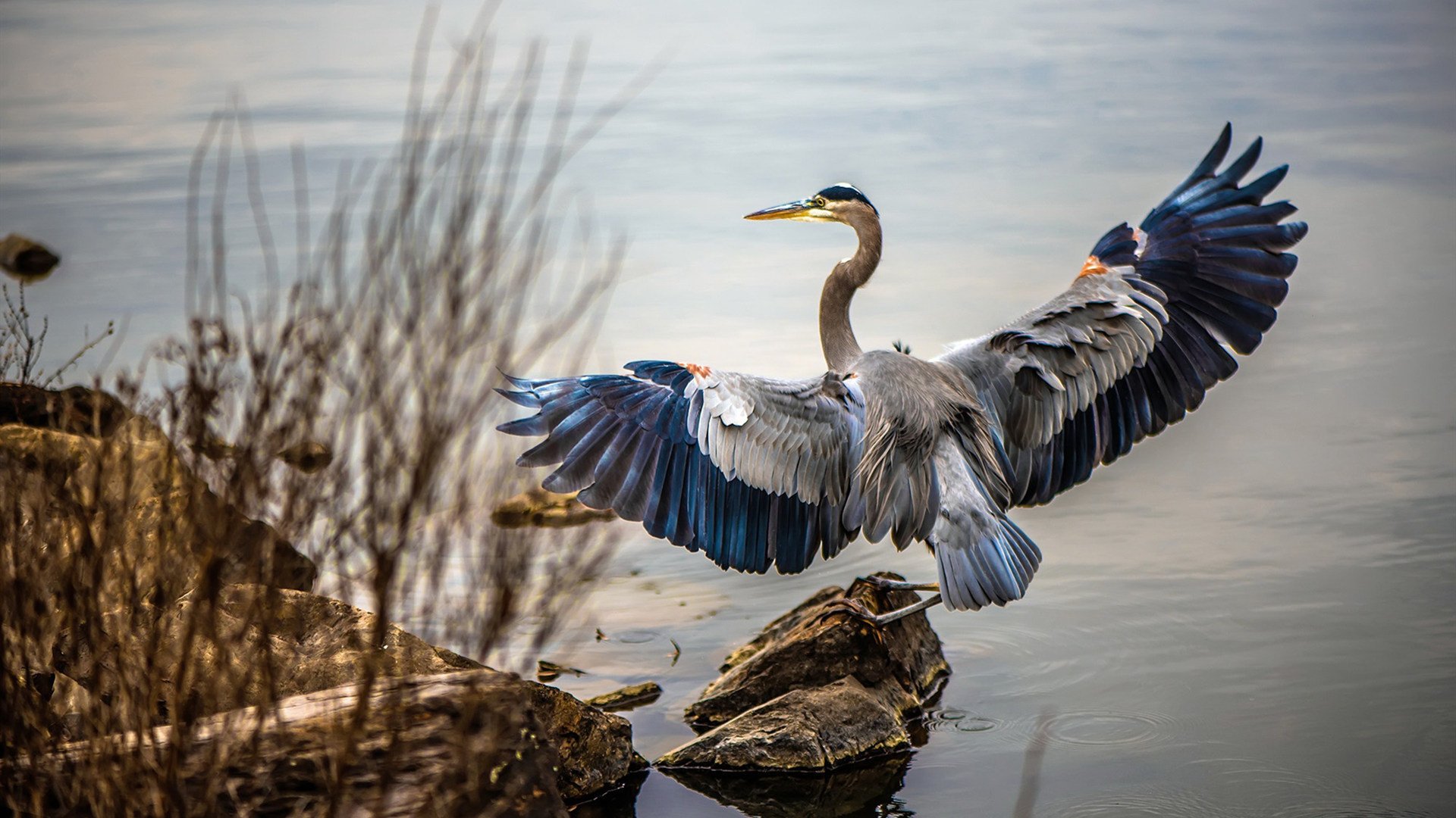 暗夜疾走,梅西如何成为拜仁加时取胜挪威的隐形引擎?