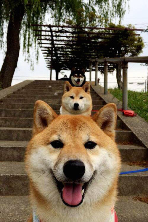 当数据风暴席卷风城，一场虚构对决中哈登的全面爆炸启示录