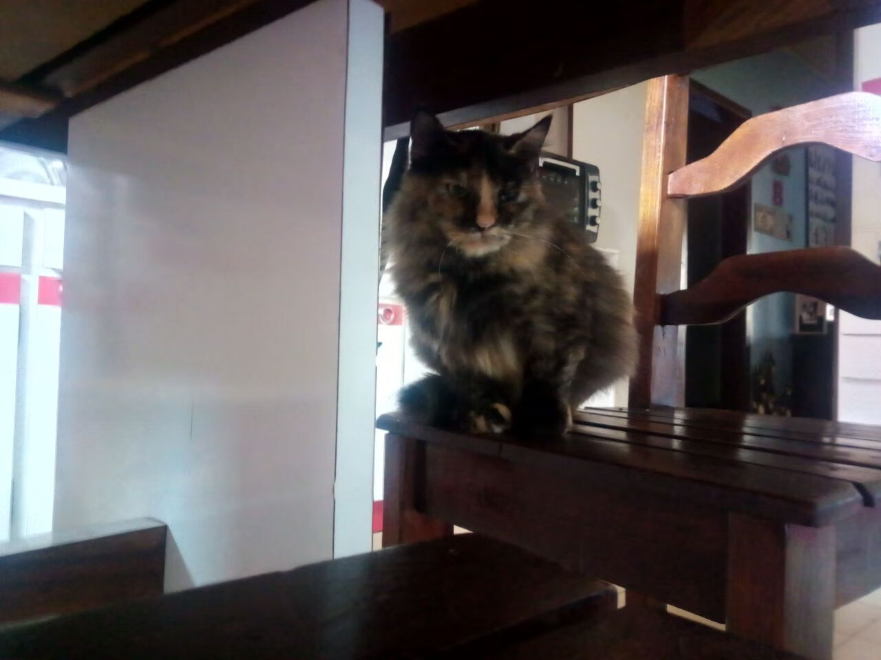 沙漠之风卷过高地雾，当摩洛哥的生死战，预言了C罗的时光征服