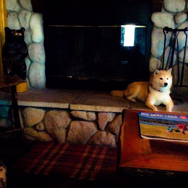 开云体育中国-足球之神的两种面孔，当巴拉圭的铁血遇上穆勒的幽灵