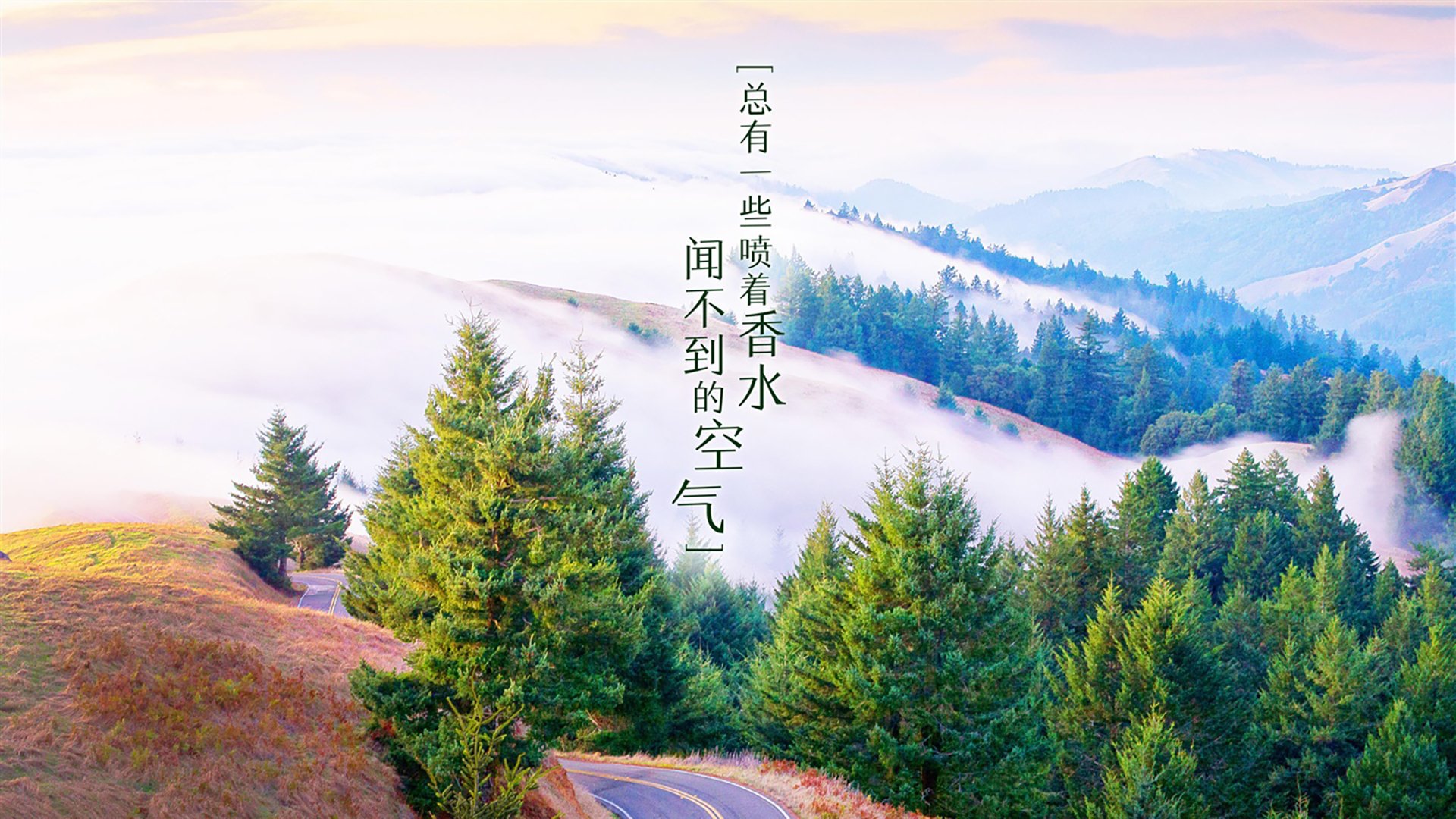 当碾压成为唯一的答案，2026世界杯D组，葡萄牙如何用一场降维打击为卢卡库铺就致命舞台